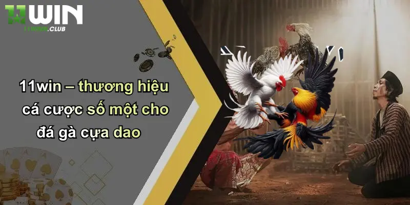 Đá Gà Cựa Dao: Sân Chơi Cá Cược Đỉnh Cao Tại 11WIN 4 11win – thương hiệu cá cược số một cho đá gà cựa dao