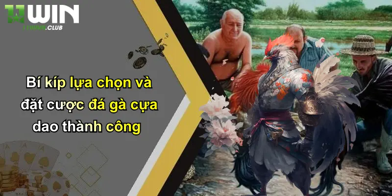 Đá Gà Cựa Dao: Sân Chơi Cá Cược Đỉnh Cao Tại 11WIN 3 Bí kíp lựa chọn và đặt cược đá gà cựa dao thành công