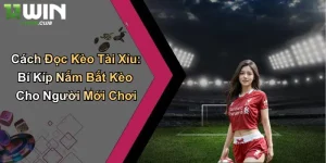 Cách Đọc Kèo Tài Xỉu: Bí Kíp Nắm Bắt Kèo Cho Người Mới Chơi