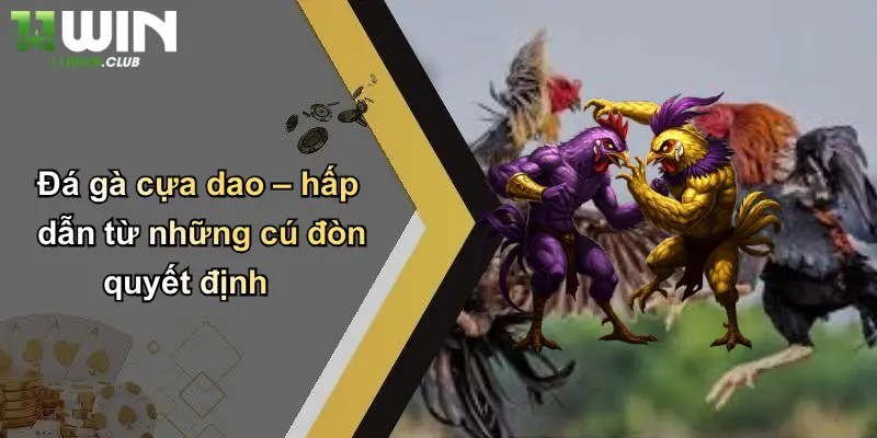 Đá Gà Cựa Dao: Sân Chơi Cá Cược Đỉnh Cao Tại 11WIN 1 Đá gà cựa dao – hấp dẫn từ những cú đòn quyết định
