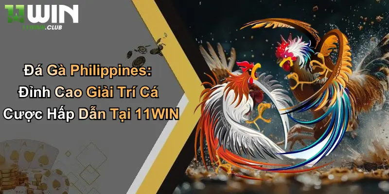 Đá Gà Philippines: Đỉnh Cao Giải Trí Cá Cược Hấp Dẫn Tại 11WIN 1 Đá Gà Philippines: Đỉnh Cao Giải Trí Cá Cược Hấp Dẫn Tại 11WIN
