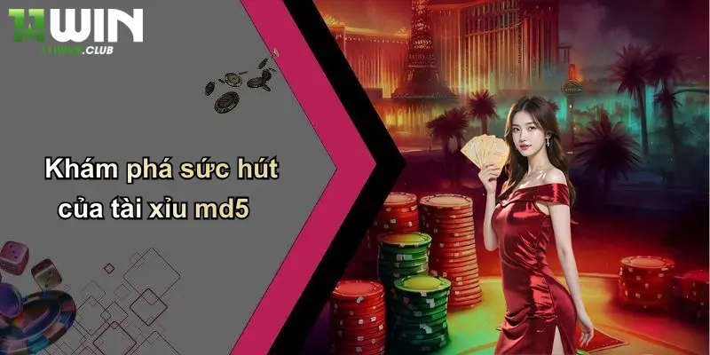 Khám phá sức hút của tài xỉu md5