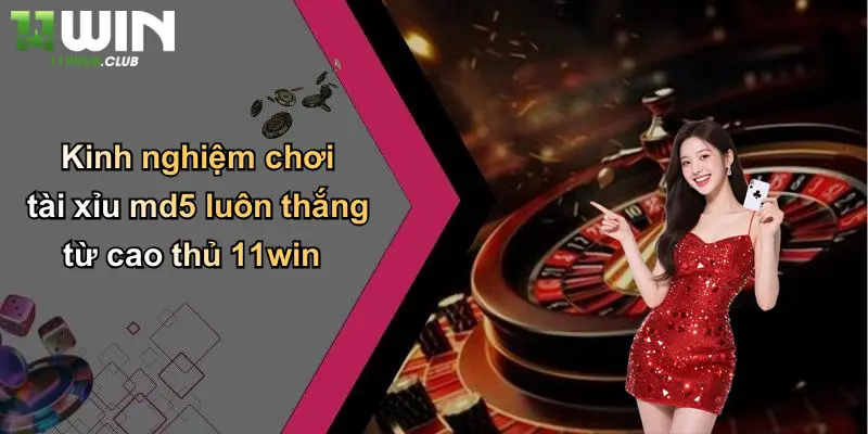 Kinh nghiệm chơi tài xỉu md5 luôn thắng từ cao thủ 11win