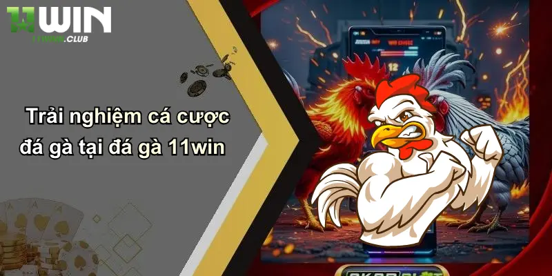 Trải nghiệm cá cược đá gà tại đá gà 11win