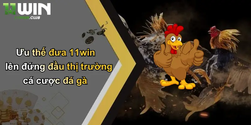 Ưu thế đưa 11win lên đứng đầu thị trường cá cược đá gà